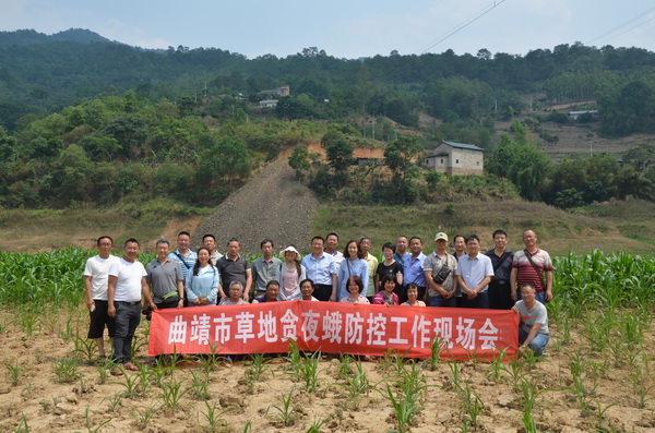 全市植保系统实地调查