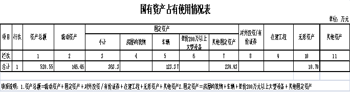 国有资产占有使用情况表