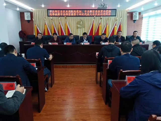 会议现场