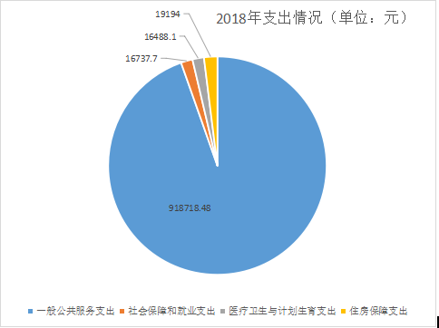 2018年支出情况