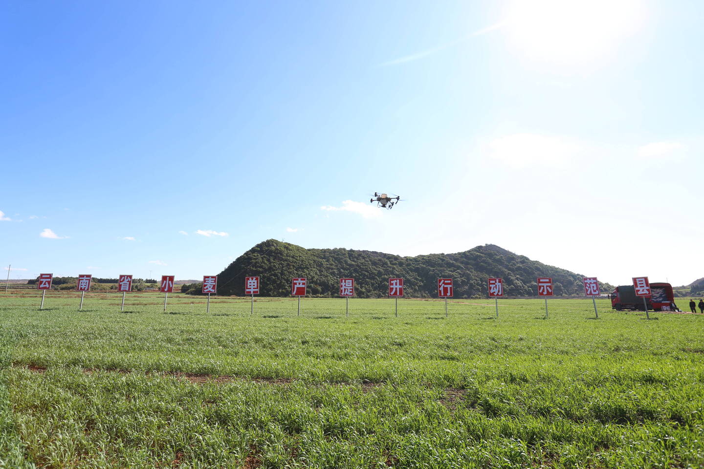 師宗無人機施肥為小麥綠色高效發展保駕護航