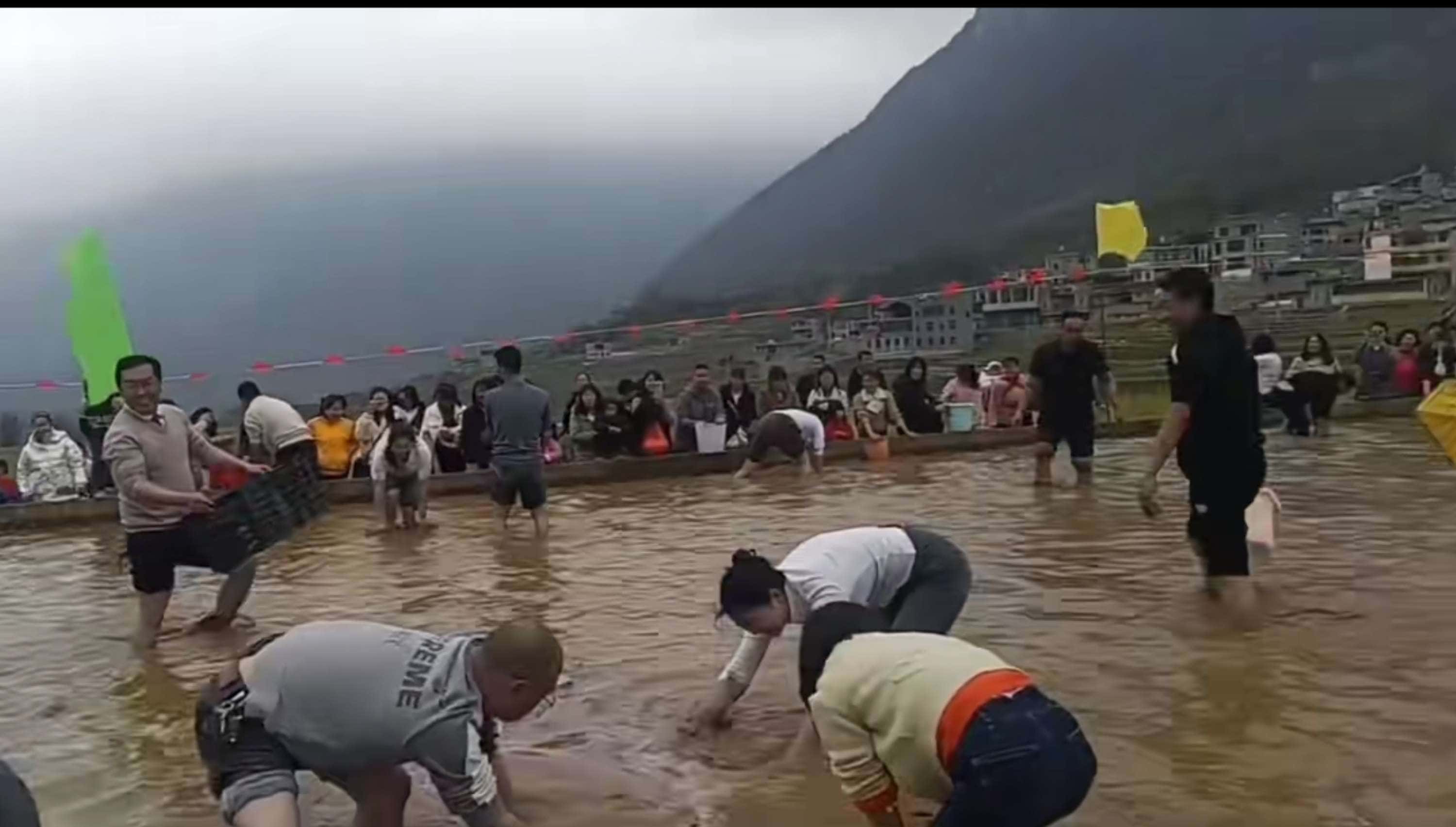 浑水摸鱼活动.jpg